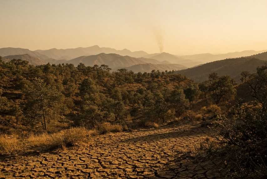 مخاطر حرائق الغابات في الجزائر: الحرارة والجفاف وغابات البحر الأبيض المتوسط
