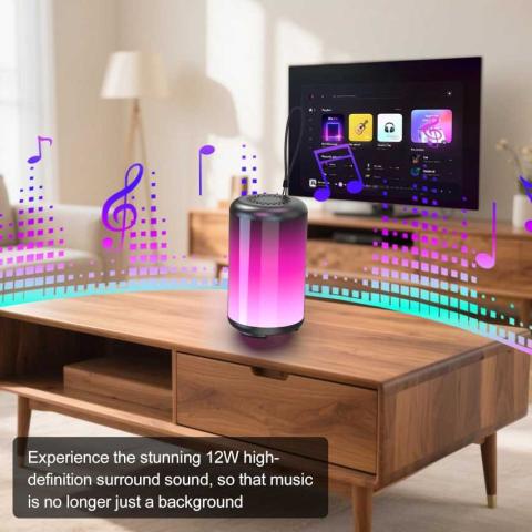 Portable Bluetooth Speaker